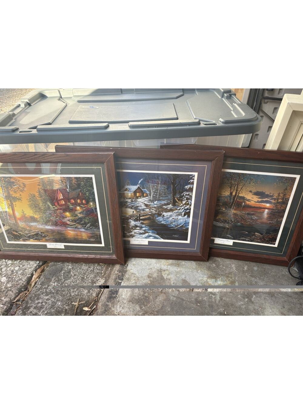 Lot 3 Jim Hansel WOODLAND RETREAT (20.5-16.5)